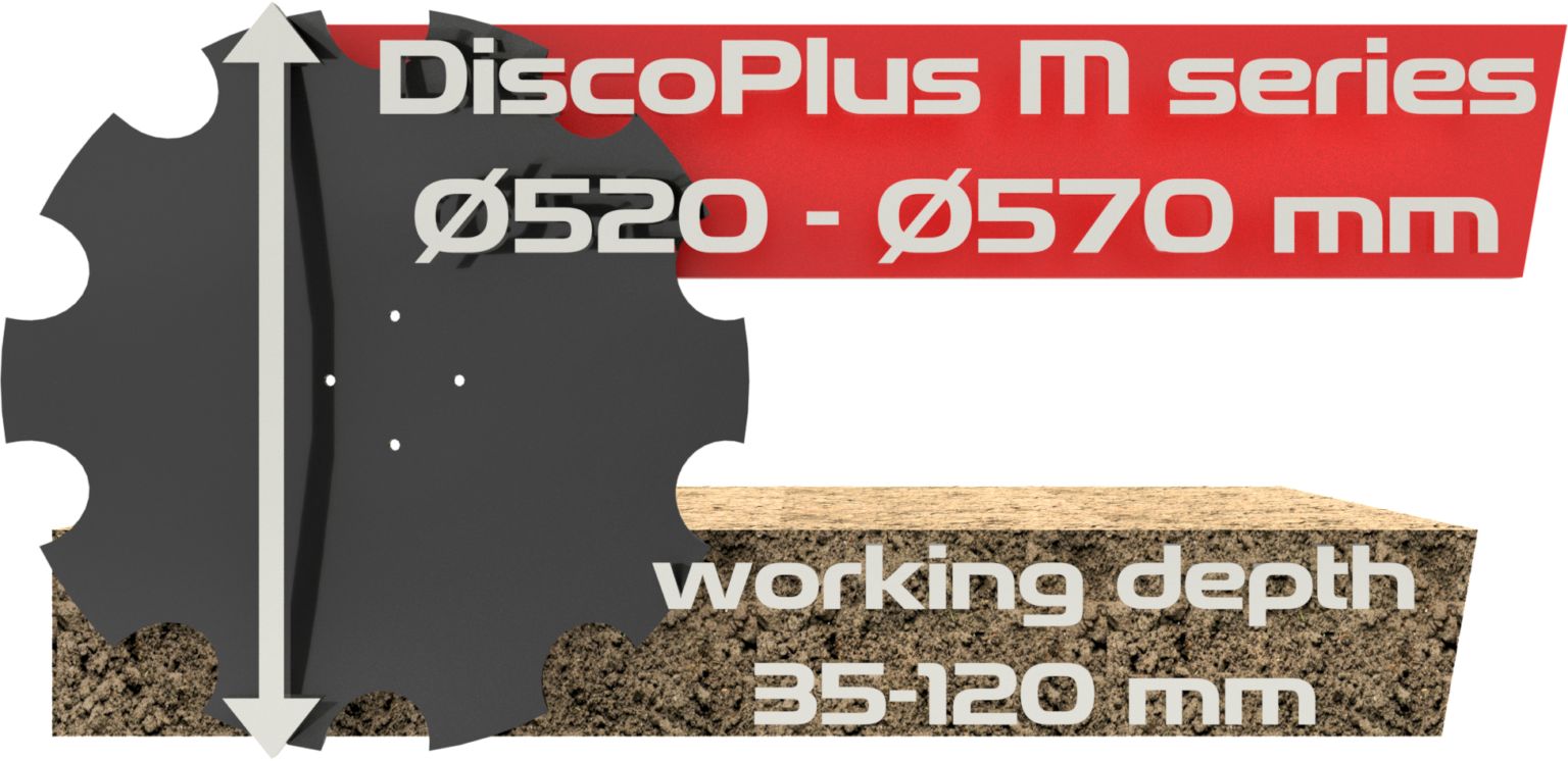 discoplus-m-discs-1536x746